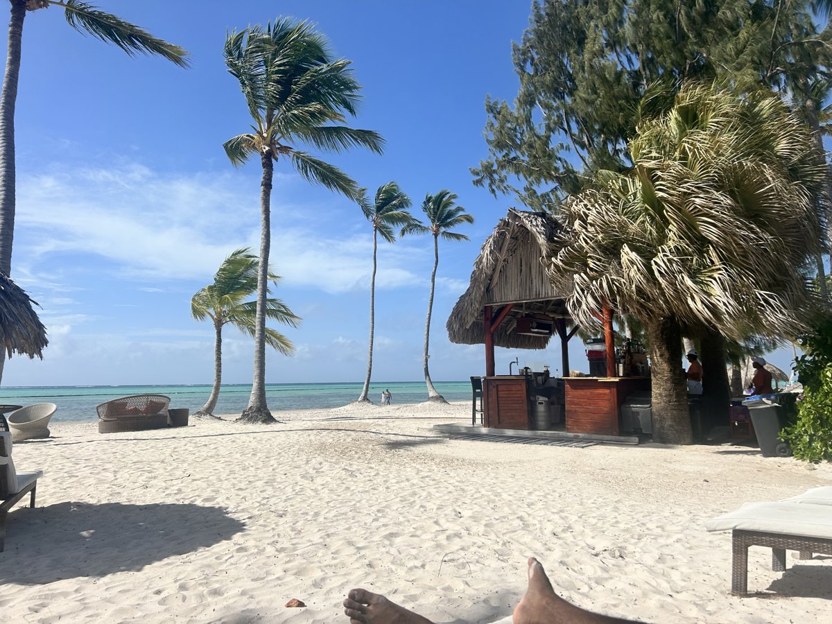 A white-sand beach at Secrets Cap Cana, palm trees leaning over the sand and a thatched-roof bar near the turquoise water