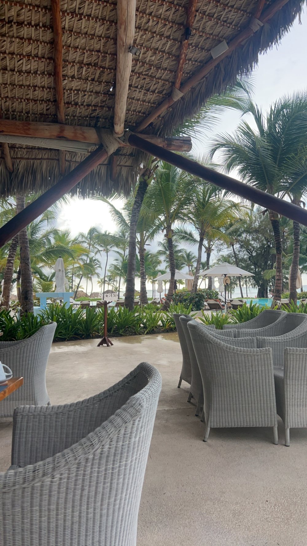 Thatched-roof lounge chairs facing the beach