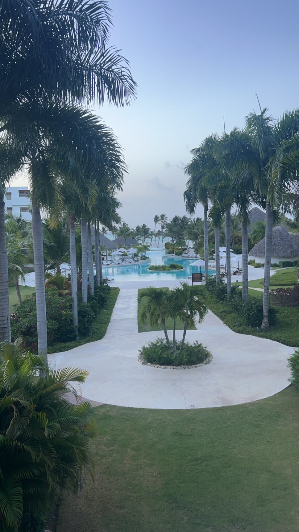 A palm-lined path down to the pool